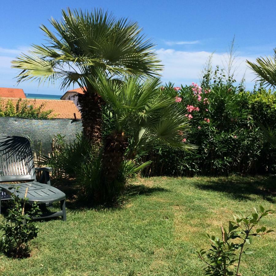 Casa "La Conchiglia" Bed & Breakfast Civitanova Marche Ngoại thất bức ảnh