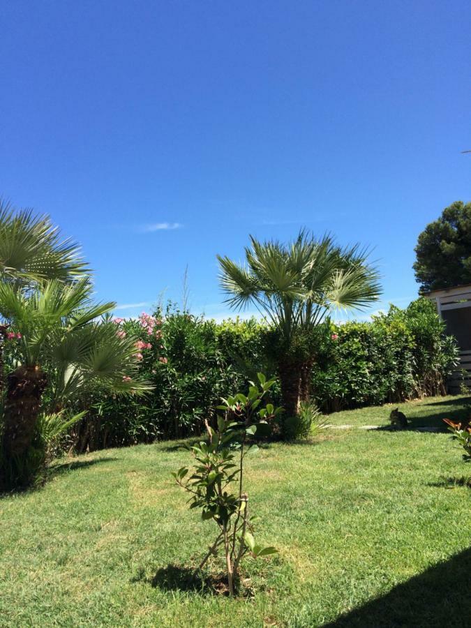 Casa "La Conchiglia" Bed & Breakfast Civitanova Marche Ngoại thất bức ảnh