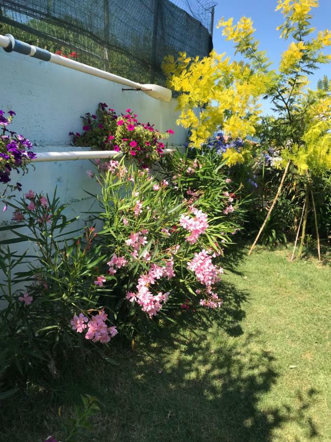 Casa "La Conchiglia" Bed & Breakfast Civitanova Marche Ngoại thất bức ảnh